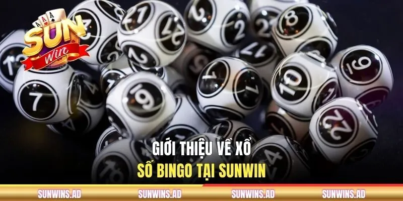 Xổ Số Bingo - Trải Nghiệm Thú Vị Tại Cổng Game SUNWIN 1 Giới thiệu về xổ số Bingo tại SUNWIN