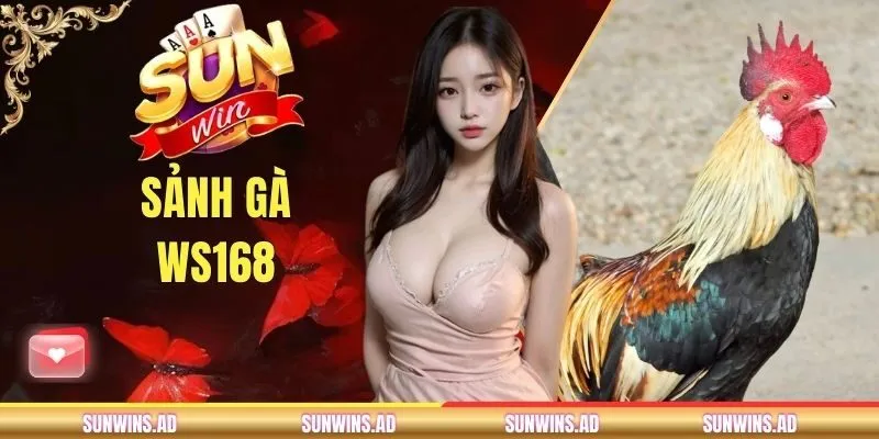 Sảnh Gà WS168 - Nền Tảng Live Stream Chọi Kê Độc Quyền